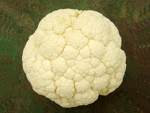 大菜花